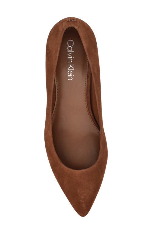 Calvin Klein Lenott Pointed Toe Pump In Brown