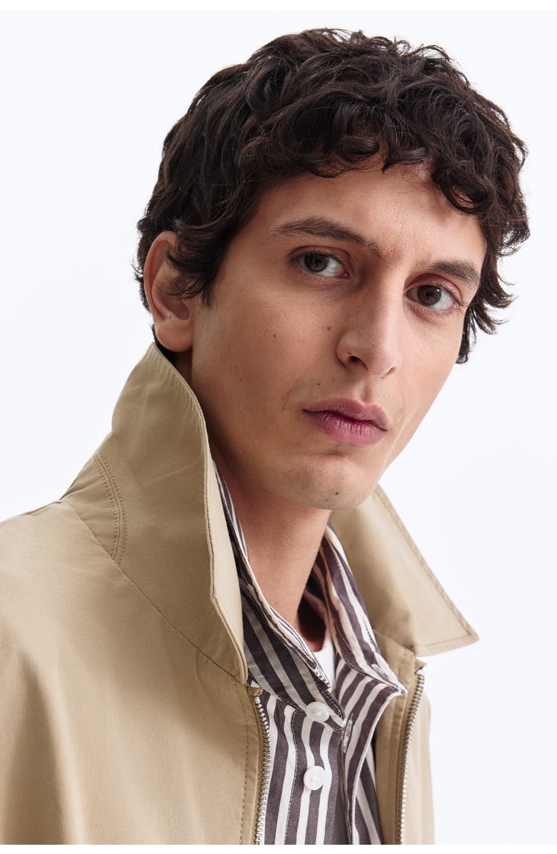 H&M Collared Cotton Jacket, Alternate, color, Beige