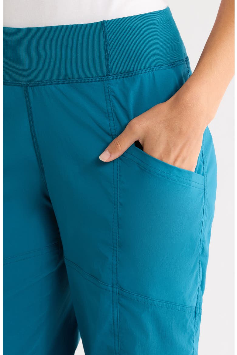 Koen Capri Pants, Alternate, color, BLUE CORAL