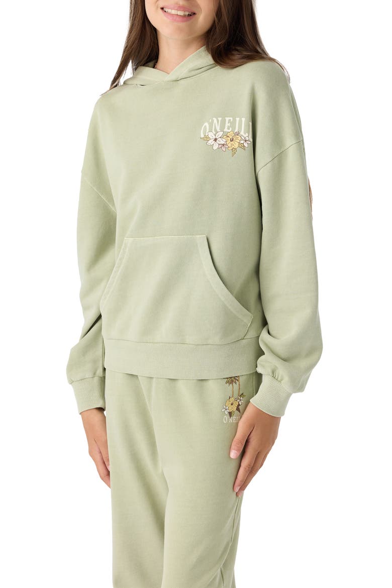 Kids' Asher Graphic Hoodie, Alternate, color, DESERT SAGE