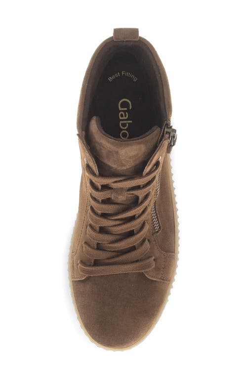 Gabor High Top Sneaker In Brown