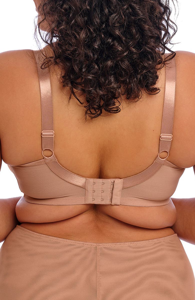 Elomi Sachi Full Figure Underwire Plunge Bra, Alternate, color, Cafe Au Lait