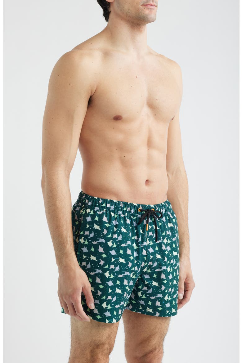 Ademir Swim Trunks, Alternate, color, MANTE - ANIMAL FREE