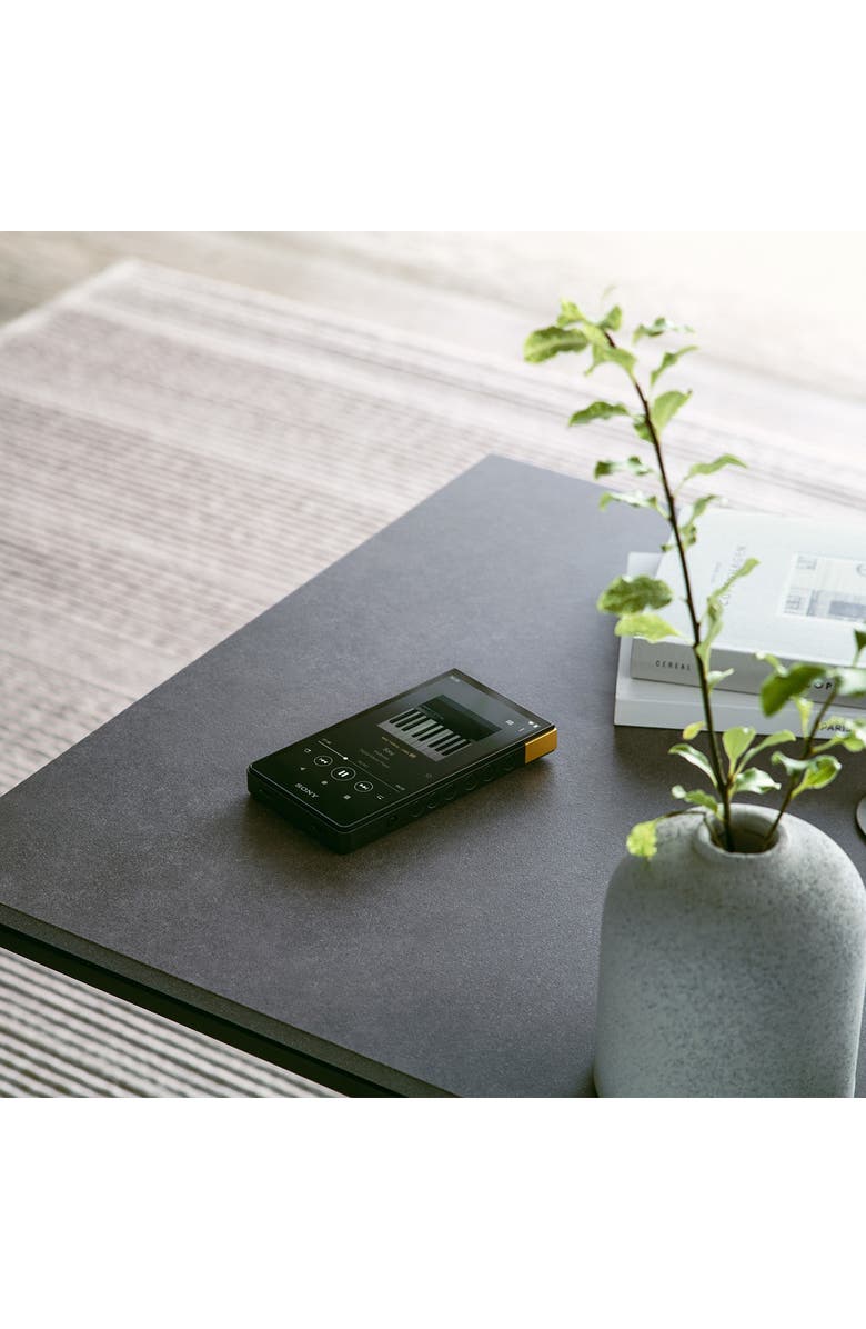 Sony NW-ZX707 Walkman ZX Series Hi-Res Digital Music Player, Alternate, color, Black