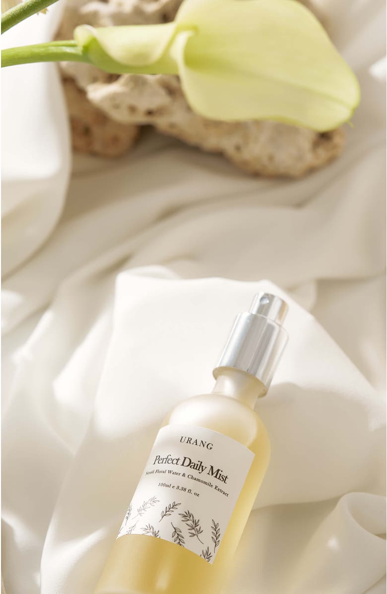 URANG Perfect Daily Mist, Alternate, color, NO COLOR