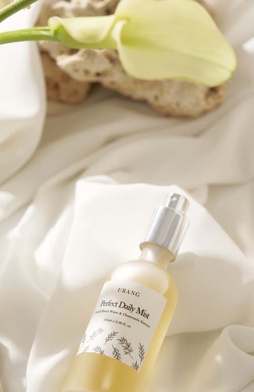 Urang Perfect Daily Mist