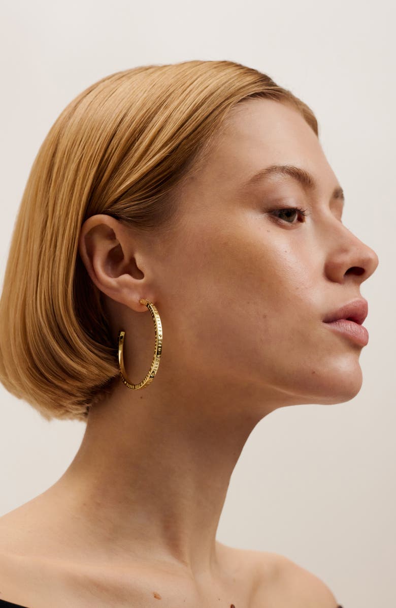 Ted Baker Loa Logo Hoop Earrings, Alternate, color, 