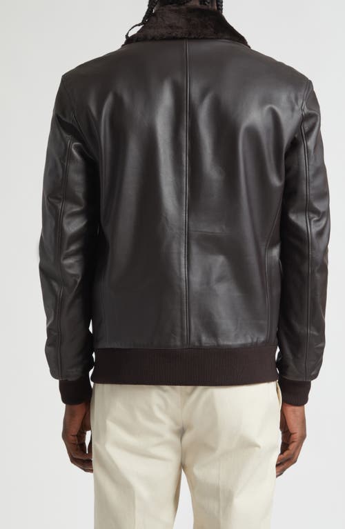 Thom Sweeney Leather Bomber Jacket With Genuine Shearling Collar In Brown