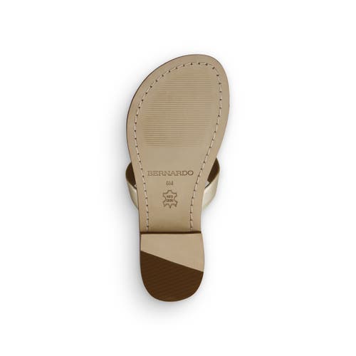 Shop Bernardo Footwear Taormina Thong Sandal In Champagne