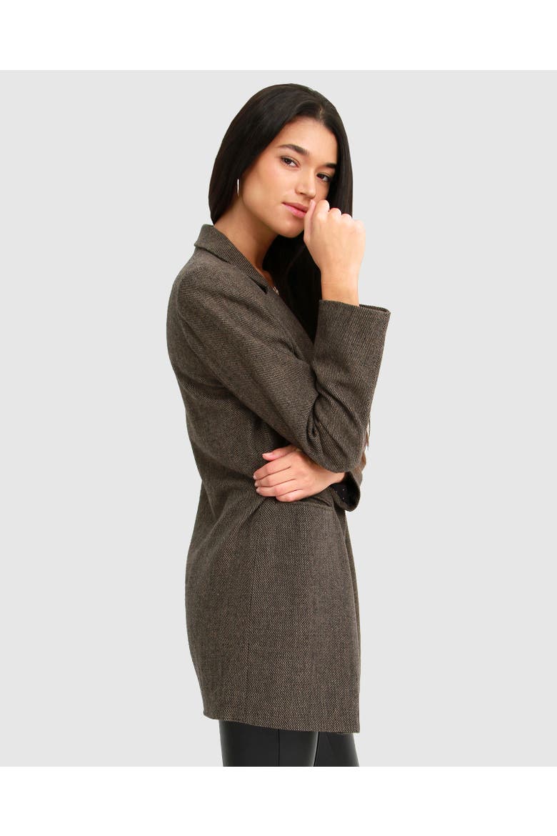 Kensington Oversized Coat, Alternate, color, BROWN
