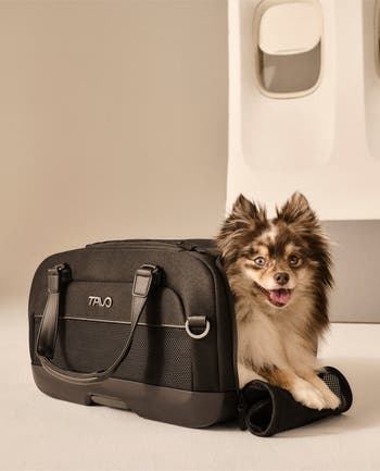 Dupree II Airline Carry-on Pet Car Seat