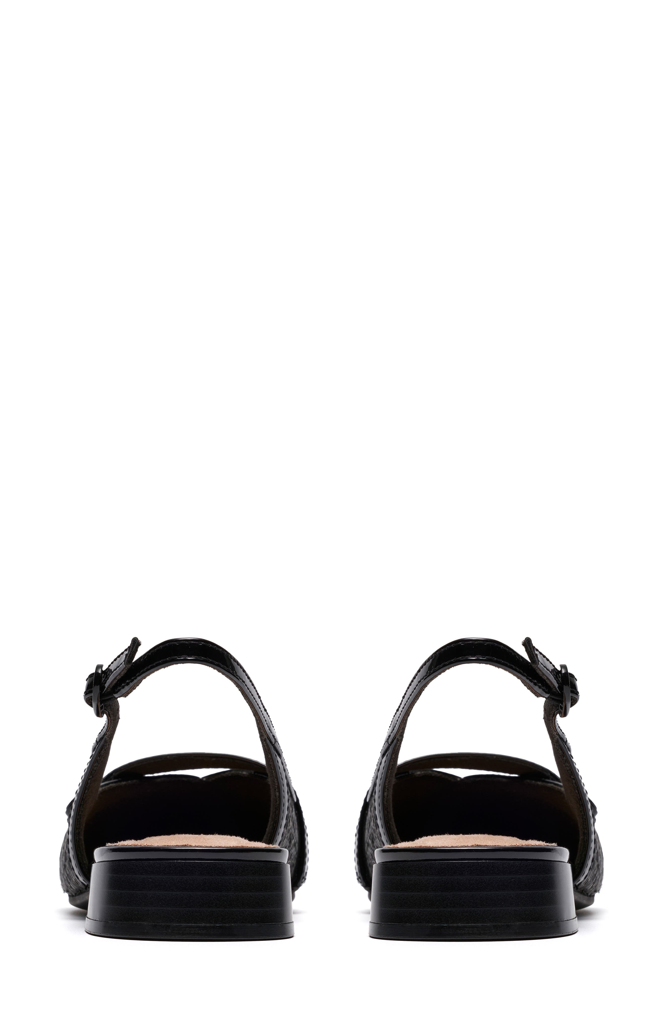 Natalyn Pointed Toe Slingback Flat, Alternate, color, BLACK RAFFIA