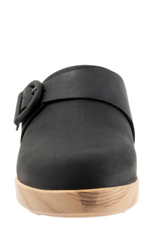 Softwalk ® Ferrara Platform Mule In Black