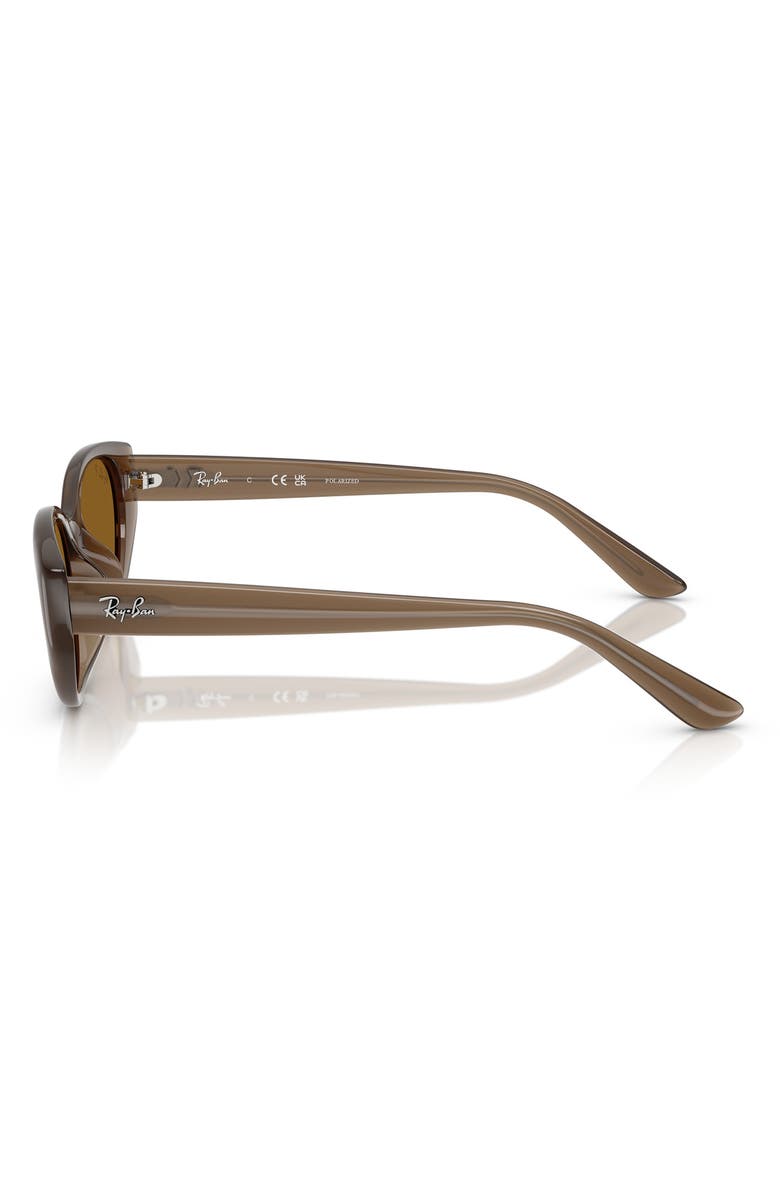 Ray-Ban 55mm Polarized Pillow Sunglasses, Alternate, color, Transparent Brown