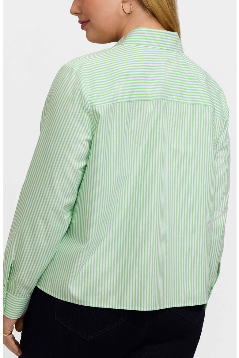 Jodie Stripe Cotton Button-Up Blouse, Alternate, color, MOJITO GREEN