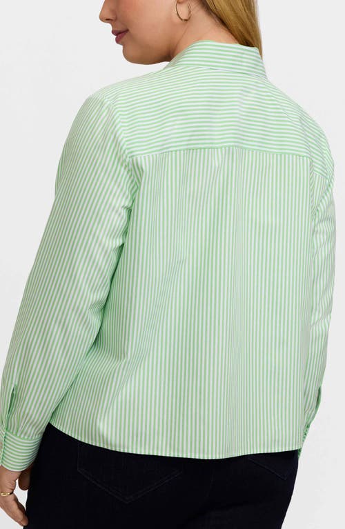 Foxcroft Jodie Stripe Cotton Button-up Blouse In Green