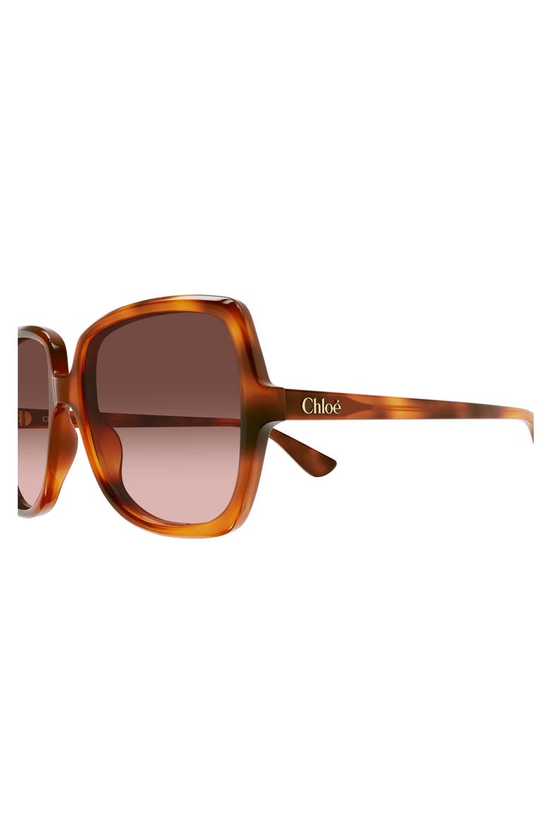 59mm Square Gradient Sunglasses, Alternate, color, HAVANA
