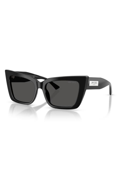 Jimmy Choo 54mm Butterfly Sunglasses