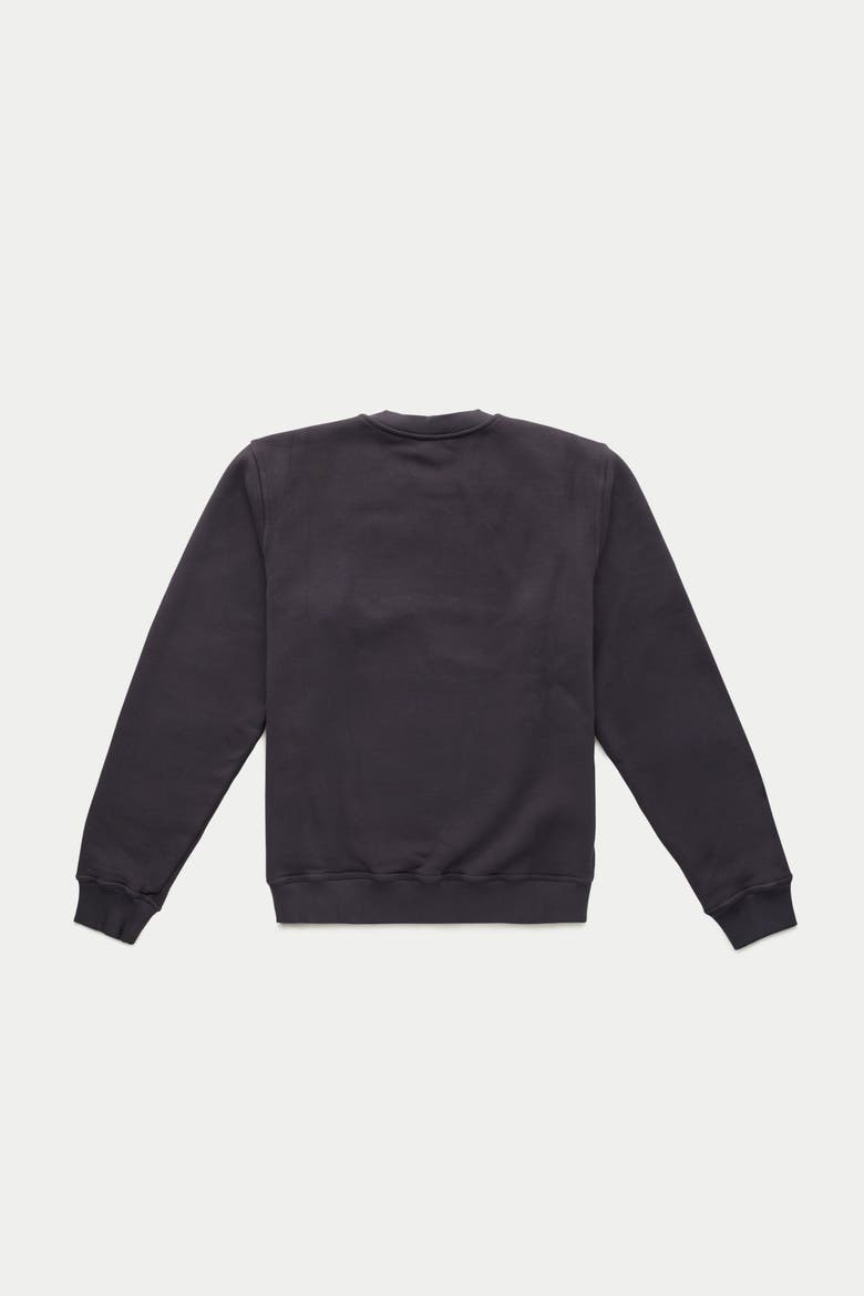 Cotton Fitted Crewneck Sweatshirt, Alternate, color, Chocolate Tort