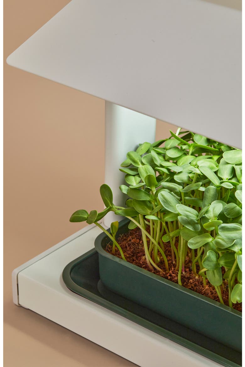 Fieldhouse Indoor Microgreen Grow System, Alternate, color, BEIGE