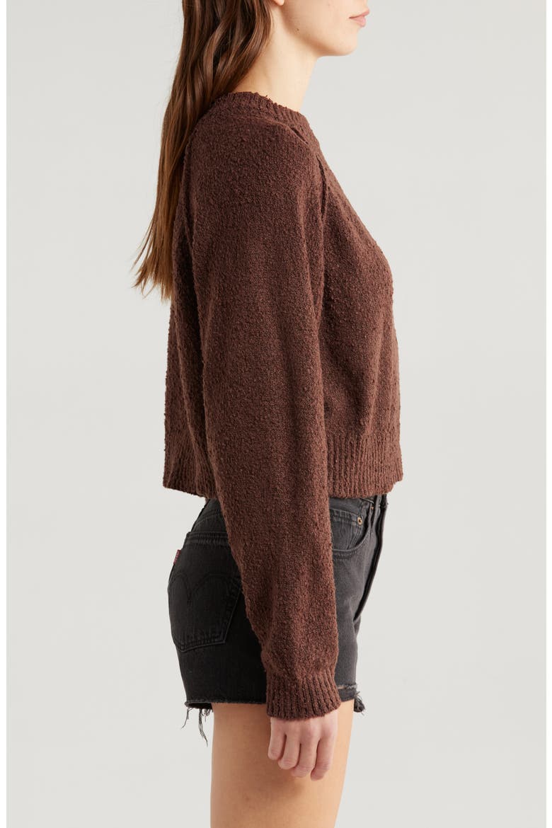 Snug Raglan Sleeve Crop Sweater, Alternate, color, FRENCH ROAST