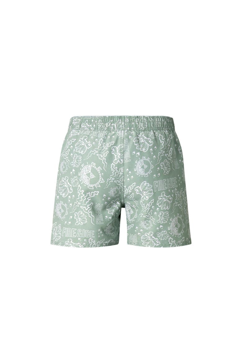 Nelson Swim Shorts, Alternate, color, Eucalyptus/white
