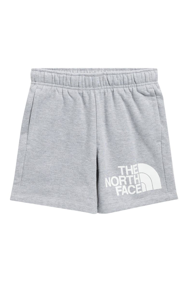 Kids' Evolution Shorts, Main, color, TNF PALE GREY HEATHER