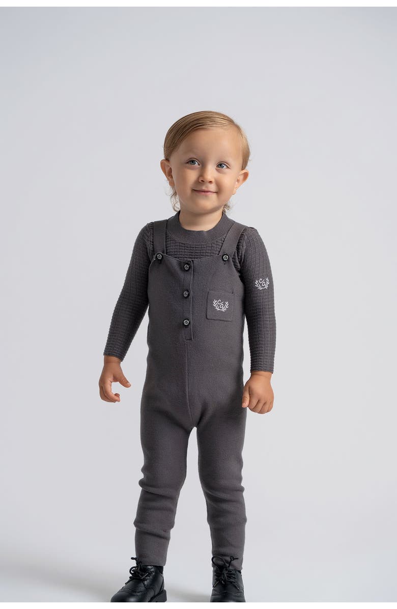 Charlotte & George Crest Embroidery Knit Overall, Alternate, color, Dark Grey