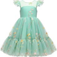 Mia Belle Girls Girls Emerald Fairy Garden Embroidered Floral Tutu Dress