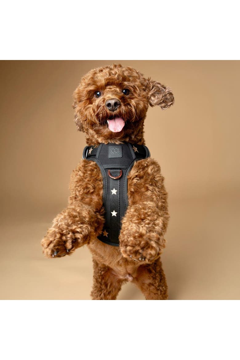 The NoMad Adjustable Luxe Harness, Alternate, color, Rockstar - Large