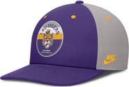 Nike Men's Nike Purple/Gray LSU Tigers Prep Pro Performance Snapback Hat