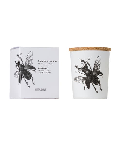 Insect Candle In Jar 2.65 Ounce