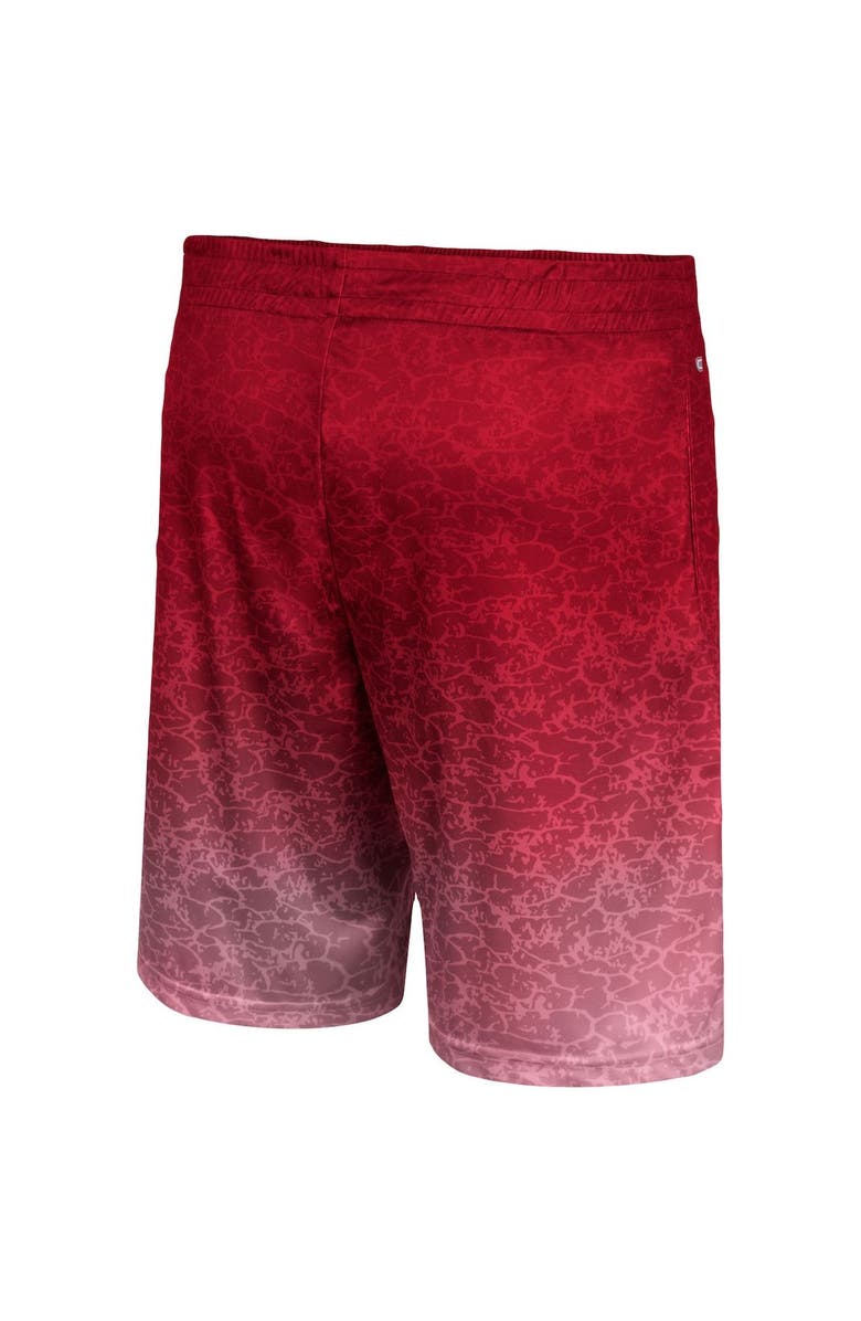 COLOSSEUM Men's Colosseum Cardinal USC Trojans Walter Shorts, Alternate, color, Cardinal