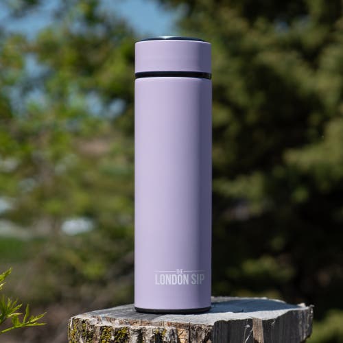 London Sip Infuser Bottle 16oz In Purple