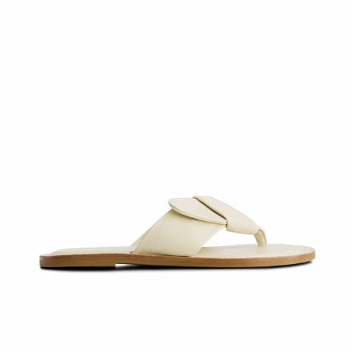 BERNARDO FOOTWEAR BERNARDO FOOTWEAR LAIA THONG SANDAL