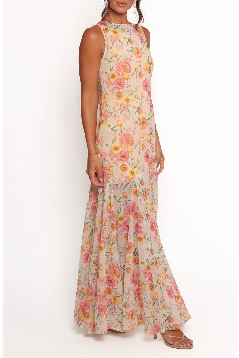 Keani Floral Sleeveless Maxi Dress, Alternate, color, PEONY