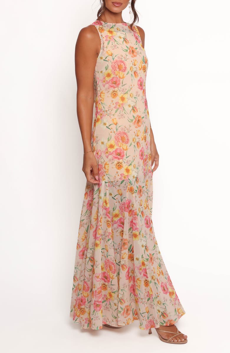 Keani Floral Sleeveless Maxi Dress
