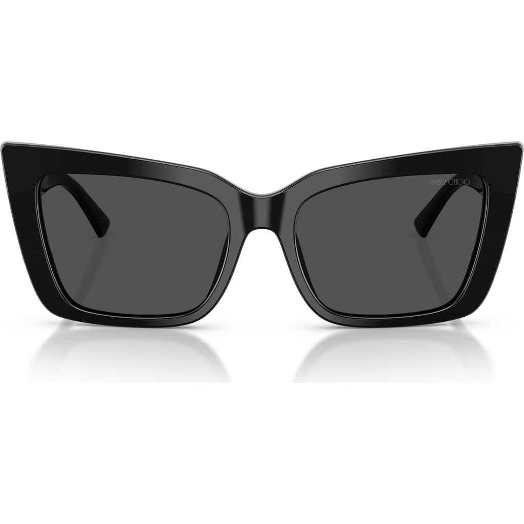 Jimmy Choo 54mm Butterfly Sunglasses