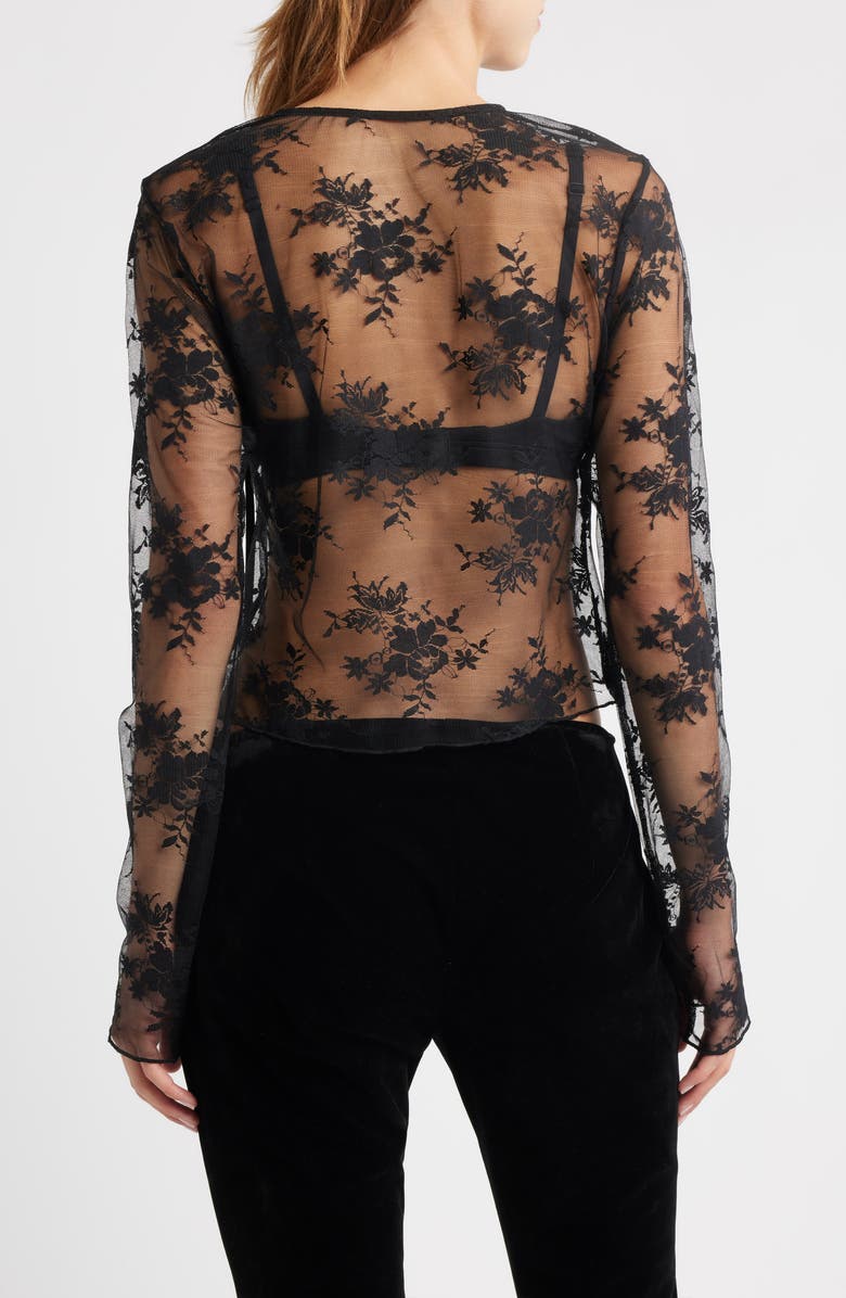 Bella Venice Camille Velvet Trim Sheer Crop Top, Alternate, color, Black Lace