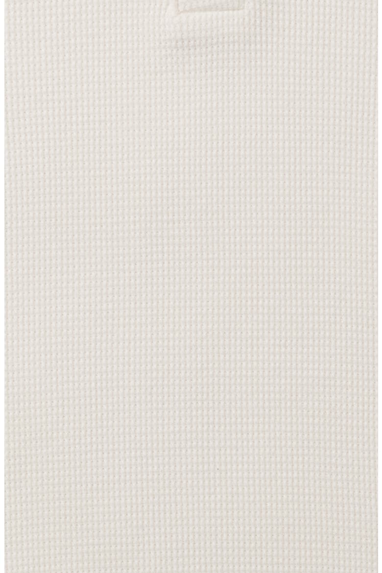 Hudson Organic Cotton Blend Waffle Henley, Alternate, color, SHELL