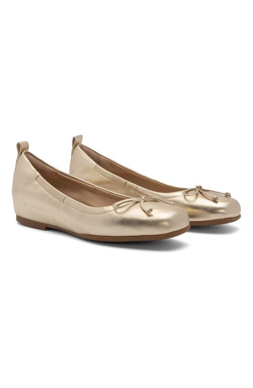 Abeo Cadence Bow Ballet Flat In Light Gold - Metatarsal