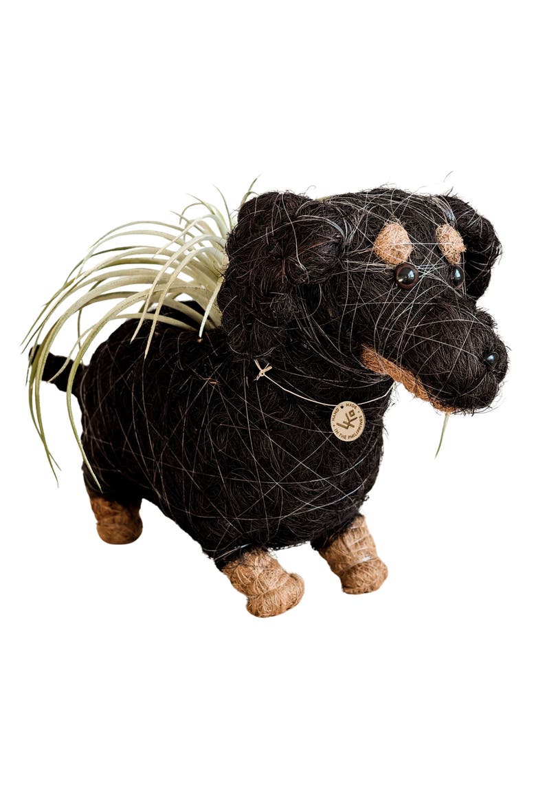 Dachshund Handwoven Planter, Main, color, BLACK / BROWN