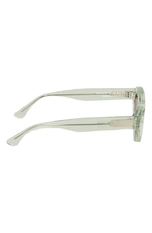 Cult Gaia X Thierry Lasry Jaya 49mm Cat Eye Sunglasses In Green