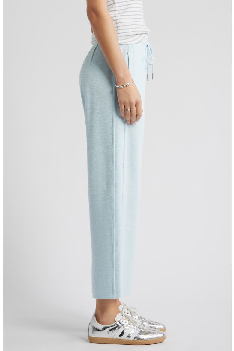 Ankle Wide Leg Travel Pants, Alternate, color, BLUE DELICATE