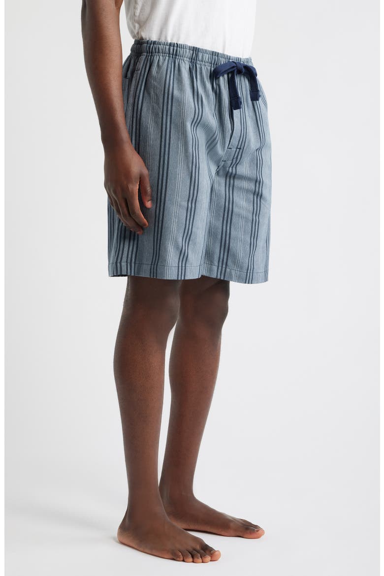 Saltwater Woven Lounge Shorts, Alternate, color, DENIM STRIPE