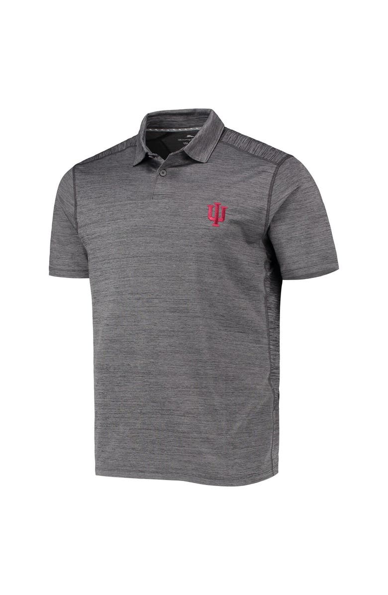 Tommy Bahama Men's Tommy Bahama Gray Indiana Hoosiers Delray IslandZone Polo, Alternate, color, 
