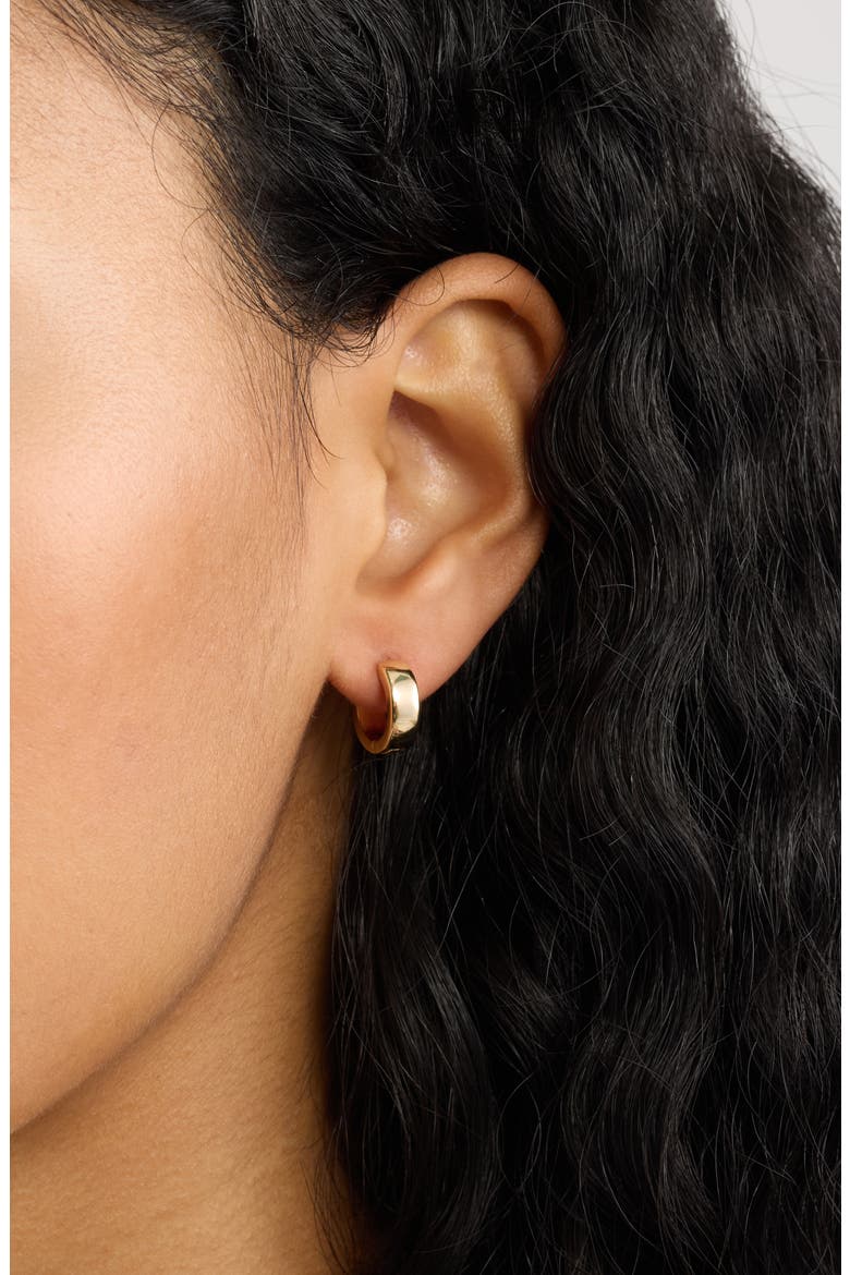 Set of 2 Huggie Hoop Earrings, Alternate, color, GOLD