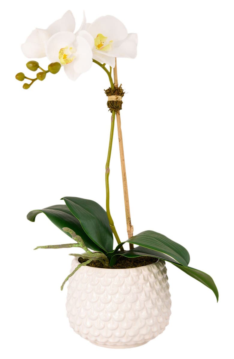 Bloomr Pearl Orchid Planter Decoration, Main, color, 