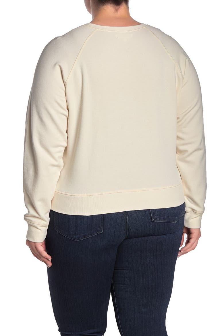 Crew Neck Raglan Sleeve Sweatshirt, Alternate, color, ANTIQUE CREAM