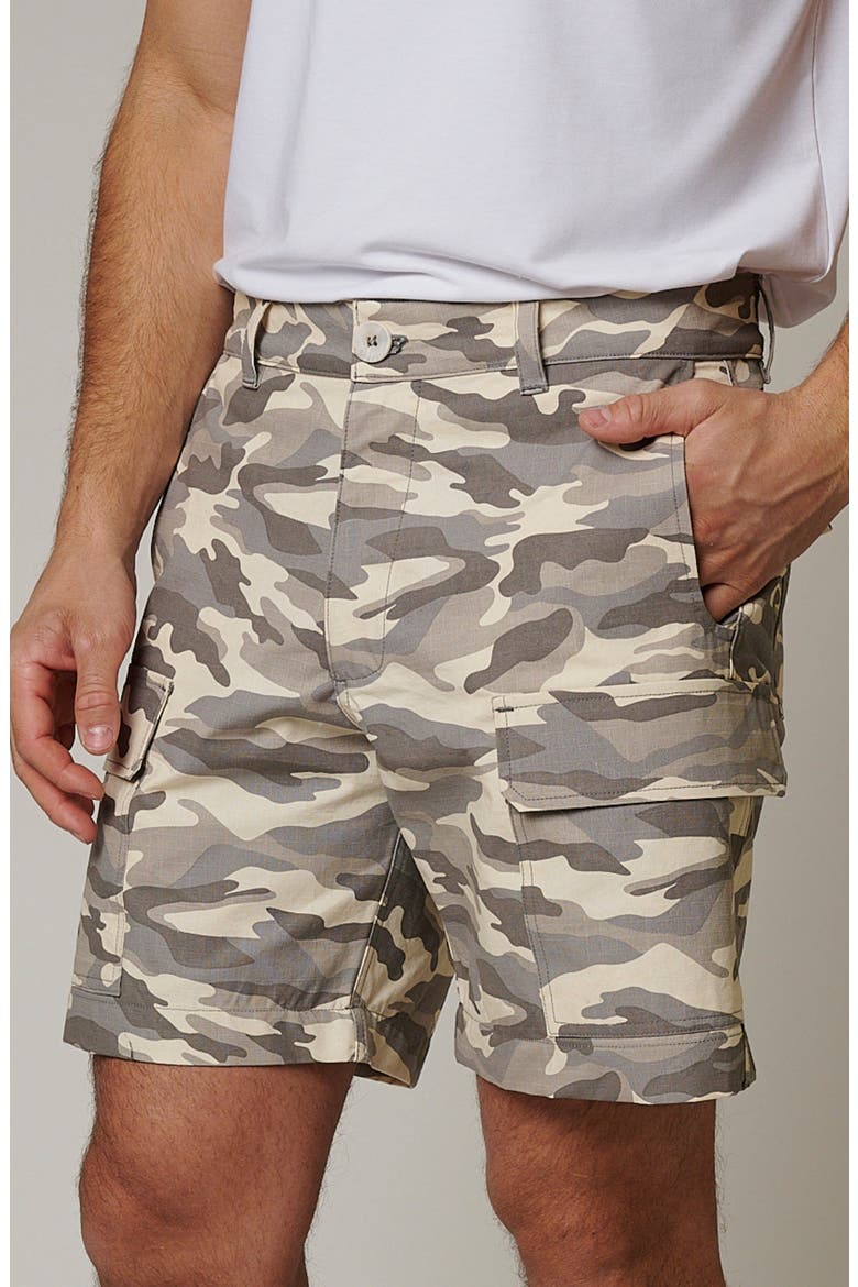 Ripstop Cargo Camo Shorts, Main, color, Arctic